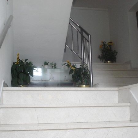 Apartments Ivanka Задар Экстерьер фото